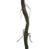 Lot de 20 - Liane artificielle avec branchages et mousse, 180 cm - marron vert 