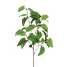 Lot de 12 - Tige artificielle de sauge givrée X5, 87 cm - vert 