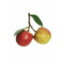 Lot de 12 - Pomme artificielle toucher réel X2 avec tige et feuilles, 15 cm - vert rouge 