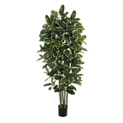 Lot de 2 - Arbre artificiel caoutchouc en pot, 210 cm - panaché 