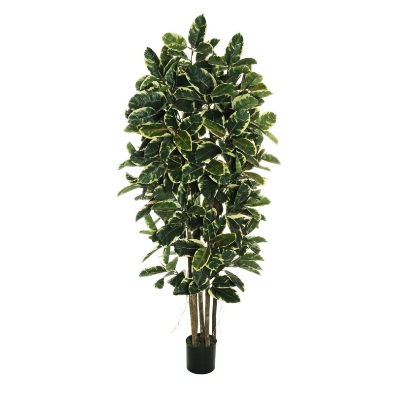 Lot de 2 - Arbre artificiel caoutchouc en pot, 210 cm - panaché 