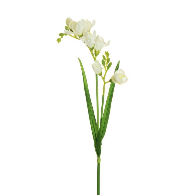 Lot de 24 - Tige artificielle de frésia X2, 59 cm - blanc 