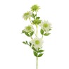 Lot de 12 - Tige artificielle de scabiosa, 76 cm - blanc 
