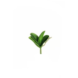 Lot de 60 - Feuilles artificielles d'orchidée phalaenopsis PU avec racines X4, 14,5 cm - vert 