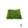 Lot de 5 - Tapis artificiel de mini vigne et eucalyptus anti-UV, 100 x 100 cm - vert violet 