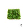 Lot de 20 - Tapis artificiel de buis mini feuilles anti-UV, 50 x 50 cm - vert rose 