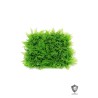 Lot de 20 - Tapis artificiel de peperomia et cyprès anti-UV, 50 x 50 cm - vert 