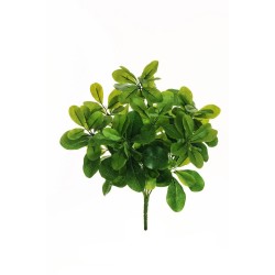 Lot de 8 - Buisson artificiel de pittosporum toucher réel X7, 40 cm - vert 