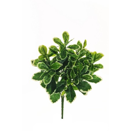 Lot de 8 - Buisson artificiel de pittosporum toucher réel X7, 40 cm - panaché 