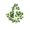 Lot de 480 - Tige artificielle de ficus benjamin X3, 59 cm - vert 