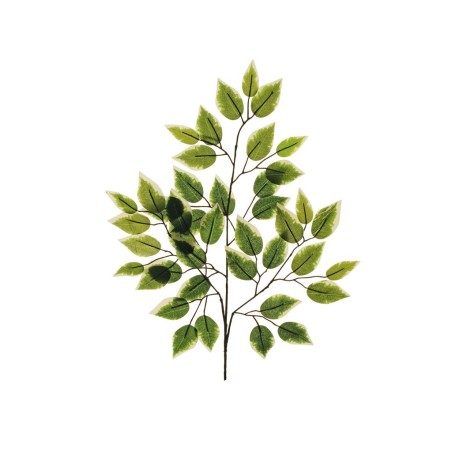 Lot de 480 - Tige artificielle de ficus benjamin X3, 59 cm - panaché 