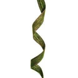 Lot de 48 - Ceinture artificielle de liane avec mousse, 183 cm - marron vert 