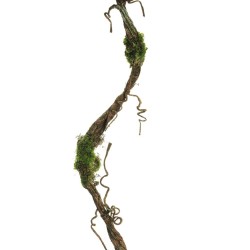 Lot de 24 - Liane artificielle en spirale avec mousse, 180 cm - marron vert 