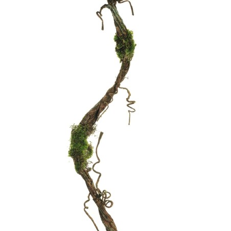 Lot de 24 - Liane artificielle en spirale avec mousse, 180 cm - marron vert 