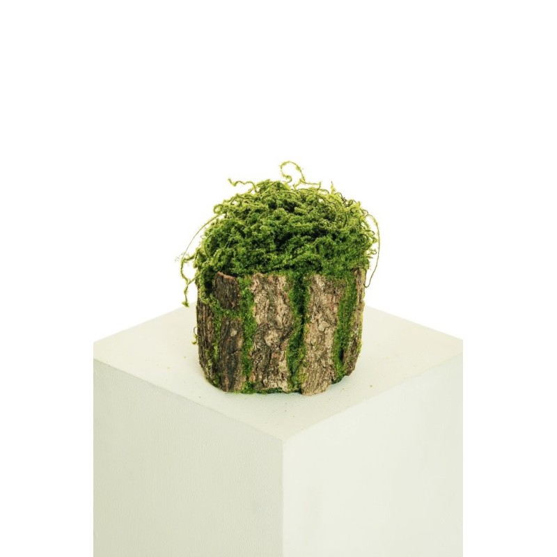 Lot de 12 - Petit tronc artificiel d'écorce avec mousse souple, 19 cm - vert marron 