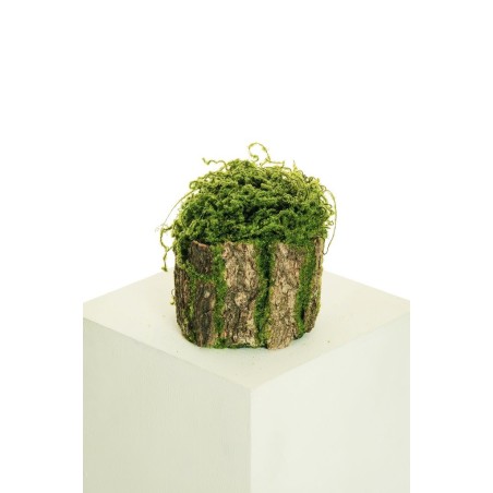 Lot de 12 - Petit tronc artificiel d'écorce avec mousse souple, 19 cm - vert marron 