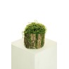 Lot de 12 - Petit tronc artificiel d'écorce avec mousse souple, 19 cm - vert marron 
