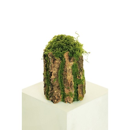 Lot de 12 - Tronc artificiel moyen d'écorce avec mousse souple, 26 cm - vert marron 