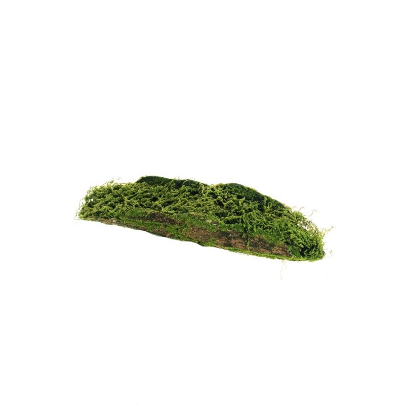 Lot de 8 - Grosse écorce artificielle avec mousse souple, 85 cm - vert marron 