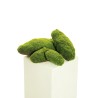 Lot de 12 - Touffes de mousse artificielle assorties, 15-40 cm - vert 