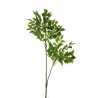 Lot de 8 - Branche artificielle de nandina toucher réel X2, 110 cm - vert 