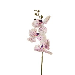 Lot de 10 - Tige artificielle d'orchidée vanda toucher réel, 75 cm - blanc violet 