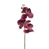 Lot de 10 - Tige artificielle d'orchidée vanda toucher réel, 75 cm - violet foncé 