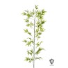 Lot de 12 - Canne artificielle de bambou toucher réel anti-UV, 210 cm - vert 