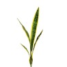 Lot de 12 - Buisson artificiel de sansevieria X5 toucher réel, 74 cm - vert jaune 