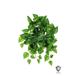 Lot de 12 - Buisson suspendu artificiel de caladium toucher réel impression 3D anti-UV X11, 54 cm - crème vert 