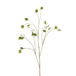 Lot de 24 - Longue branche artificielle de lunaria, 130 cm - blanc 