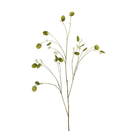 Lot de 24 - Longue branche artificielle de lunaria, 130 cm - blanc 