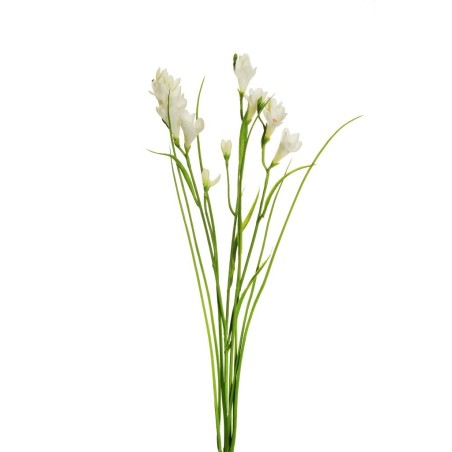 Lot de 24 - Tige artificielle de frésia X3, 63 cm - blanc 