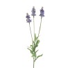 Lot de 48 - Tige artificielle de lavande floquée X3, 60 cm - lavande clair 