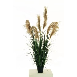Lot de 4 - Pampa artificielle en pot avec fleurs naturelles X7, 160 cm - vert marron clair 