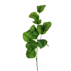 Lot de 12 - Tige artificielle de calathea toucher réel impression 3D, 85 cm - vert crème 