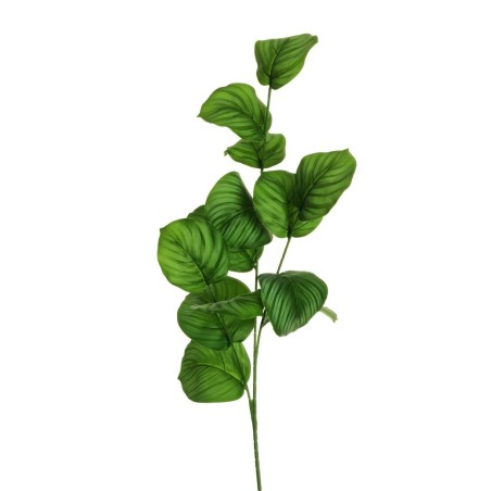 Lot de 12 - Tige artificielle de calathea toucher réel impression 3D, 85 cm - vert crème 