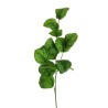 Lot de 12 - Tige artificielle de calathea toucher réel impression 3D, 85 cm - vert crème 