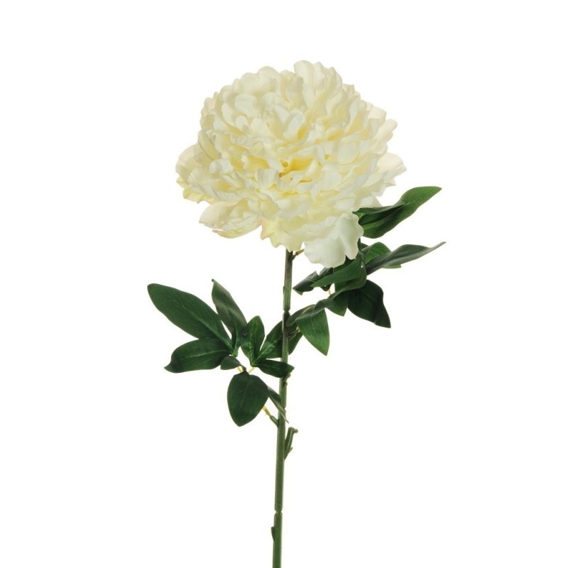 Lot de 12 - Pivoine artificielle géante D. 21 cm, 82 cm - crème 