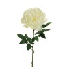Lot de 12 - Pivoine artificielle géante D. 21 cm, 82 cm - crème 