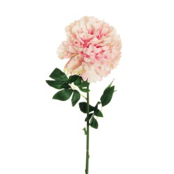 Lot de 12 - Pivoine artificielle géante D. 21 cm, 82 cm - rose 