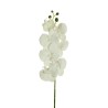 Lot de 20 - Tige artificielle de phalaenopsis toucher réel impression 3D X7, 75 cm - blanc 