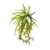 Lot de 12 - Buisson artificiel de chlorophytum X5 toucher réel, 60 cm - vert crème 