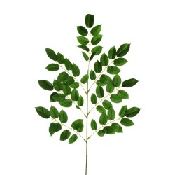 Lot de 36 - Tige plate artificielle de hêtre X7, 102 cm - vert 