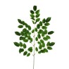 Lot de 36 - Tige plate artificielle de hêtre X7, 102 cm - vert 