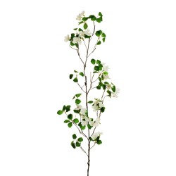 Lot de 24 - Branche artificielle de saponaire, 110 cm - blanc 