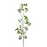 Lot de 24 - Branche artificielle de saponaire, 110 cm - blanc 