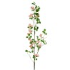 Lot de 24 - Branche artificielle de saponaire, 110 cm - rose 