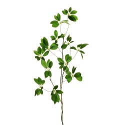 Lot de 24 - Tige artificielle de schefflera toucher réel X3, 80 cm - vert 