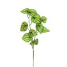 Lot de 24 - Tige artificielle de peperomia toucher réel impression 3D X3, 80 cm - vert crème 